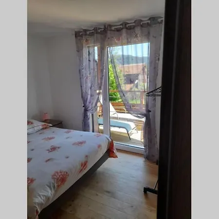 Apartment Logement Neuf Ds Cadre Ydilique *